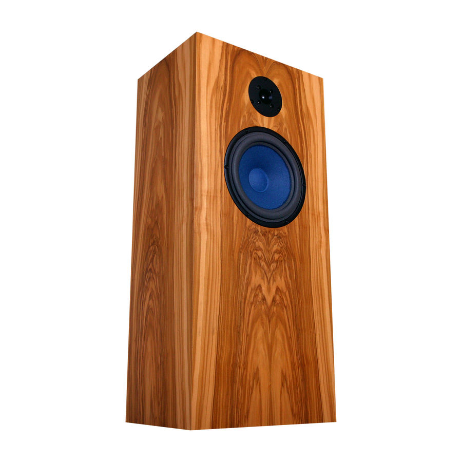 Audio Note AN-ELX HEMP in Olive — the flagship of the AN-E lineage, voiced for corner placement and low-power SET amplification.